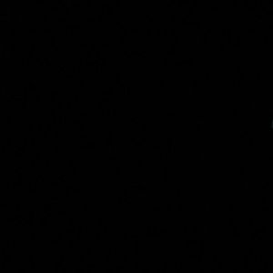 Meet your Posher, Marley